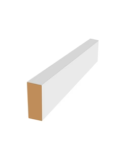 Multi-Purpose Rail